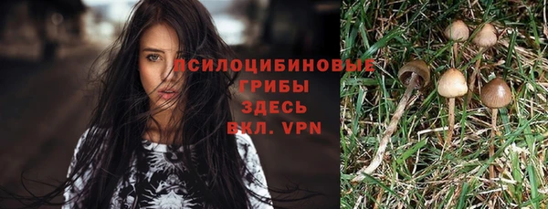 бутират Медногорск