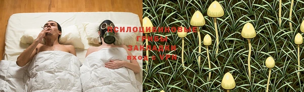 дурь Ахтубинск
