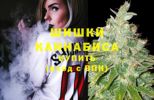 бутират Медногорск